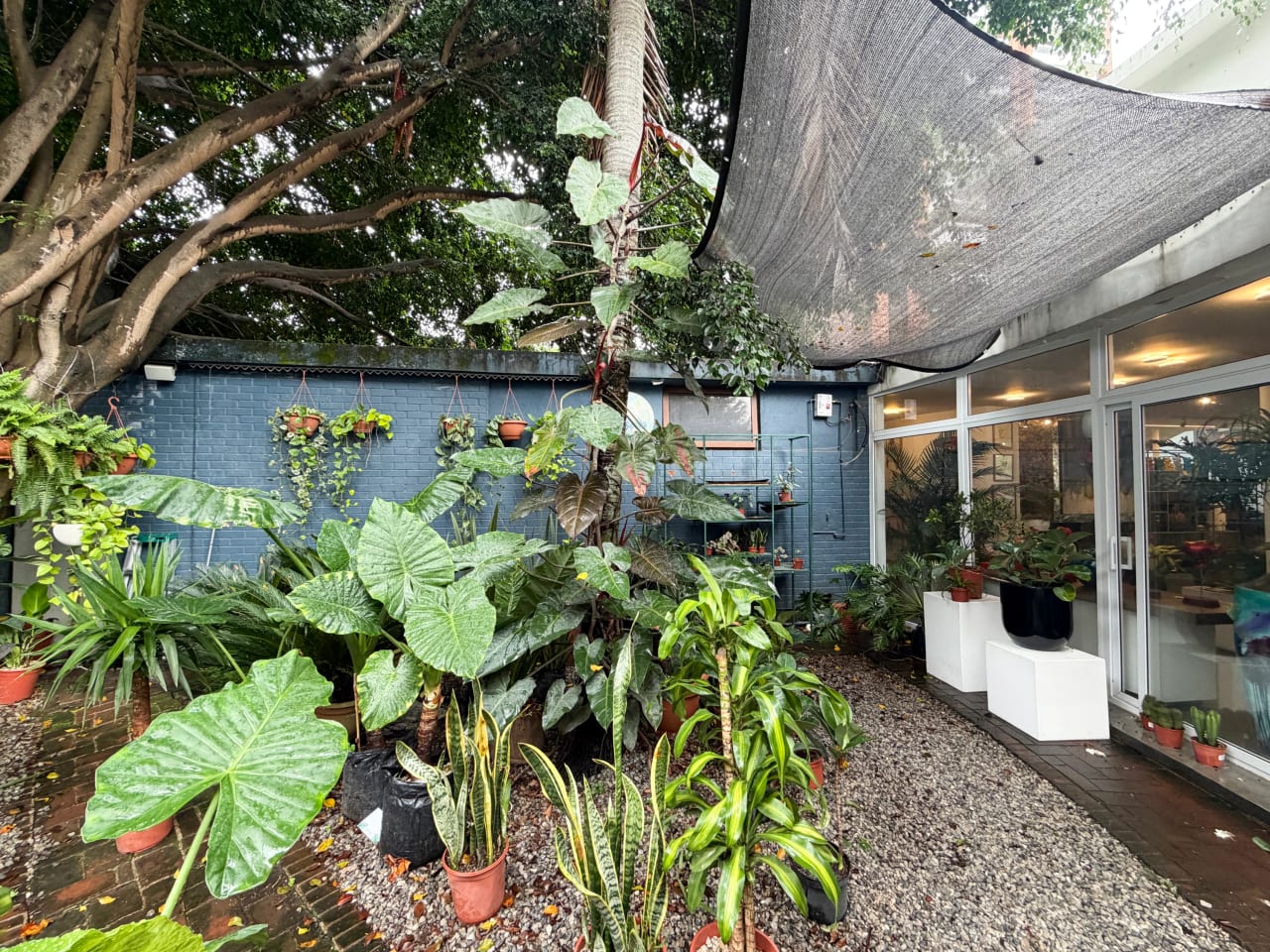 Casa Comercial en Renta zona 14 — foto 4 de 10